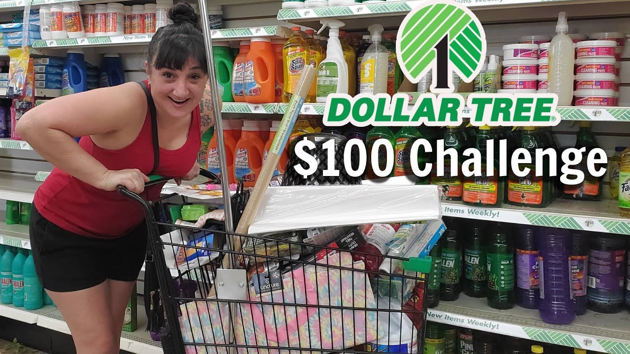 Massive DOLLAR TREE Haul | $100 Gift Card Challenge