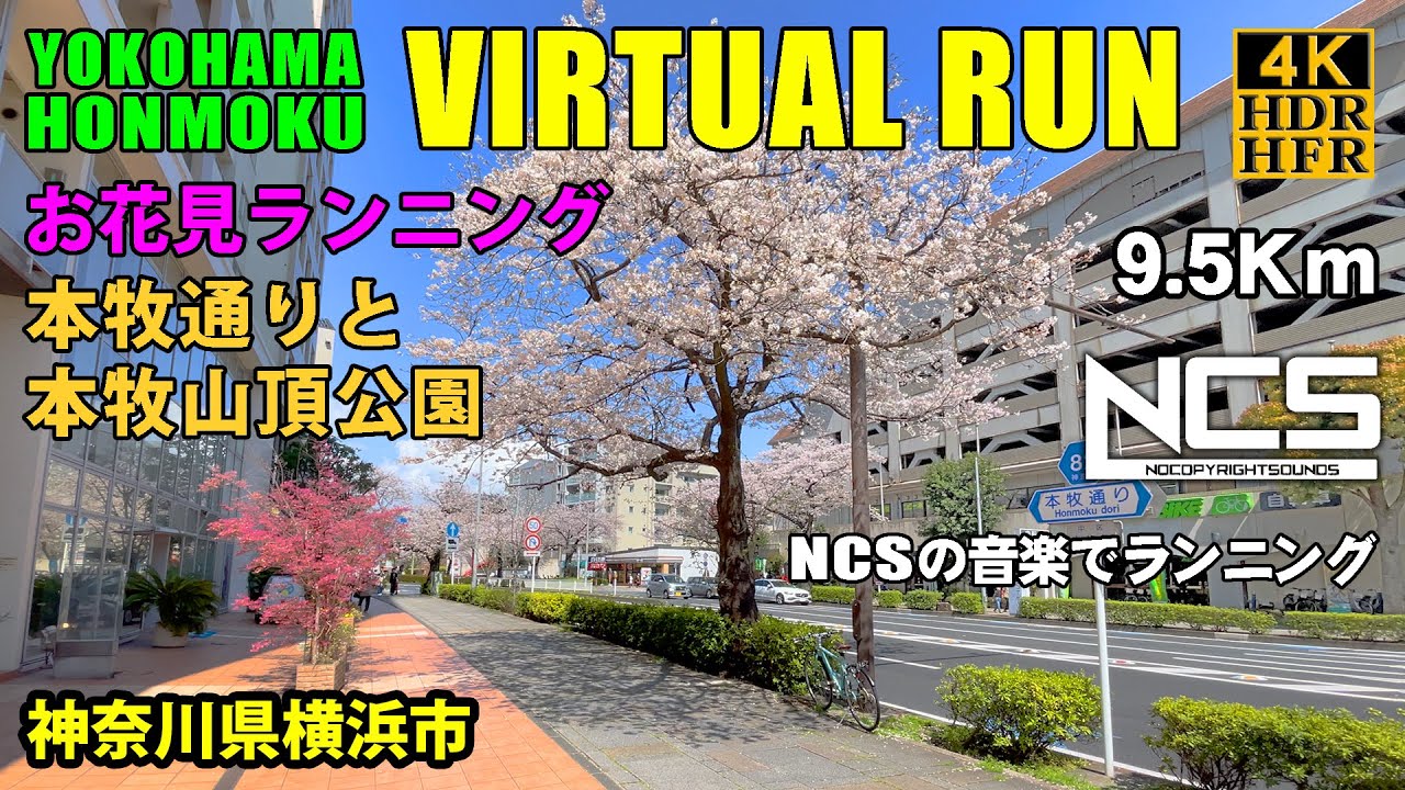 【Virtual Run】本牧通りと本牧山頂公園 お花見ランニング　本牧五番街発着 → 山手警察署 → 間門 → 本牧山頂公園 9.5Km【バーチャルラン・トレッドミルで見る動画】 2023/03