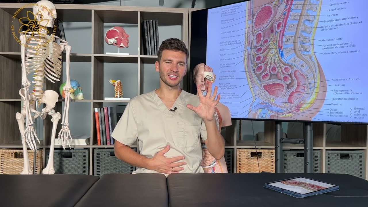 ПАЛЬПАЦИЯ И ПЕРЦЕПЦИЯ | урок 5