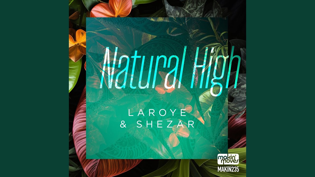 Natural High (Vocal Mix)
