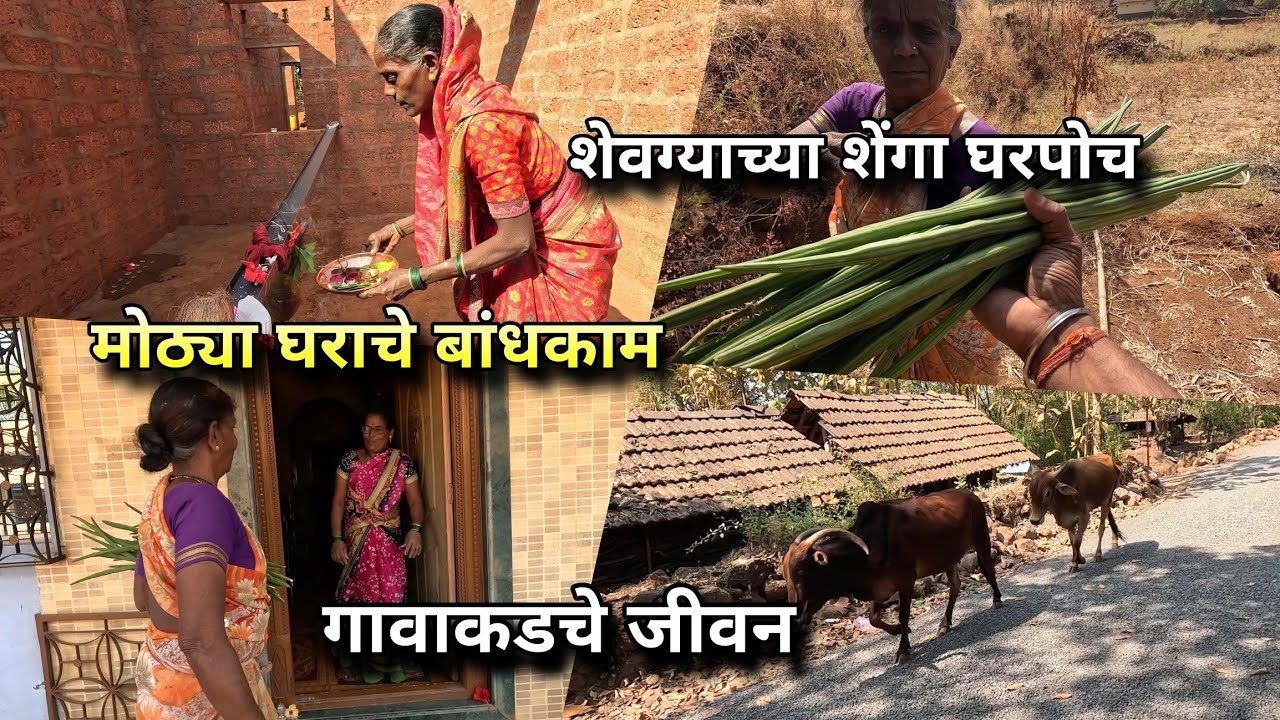 मोठ्या घराच्या बांधकामाचा Progress Update | गावातील शेवग्याच्या शेंगां घरपोच 🏡 Konkan Village Vlog