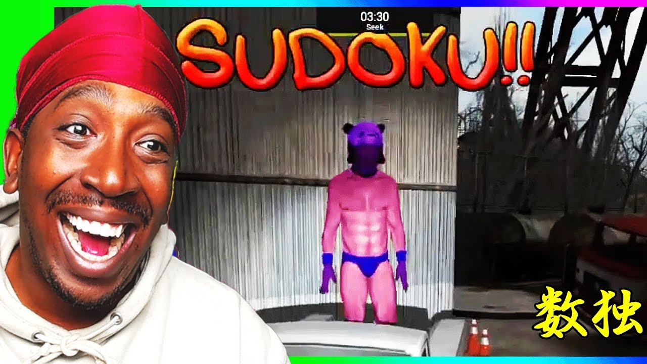 Reaction To Vanoss Sudoku Moments (VanossGaming Compilation)