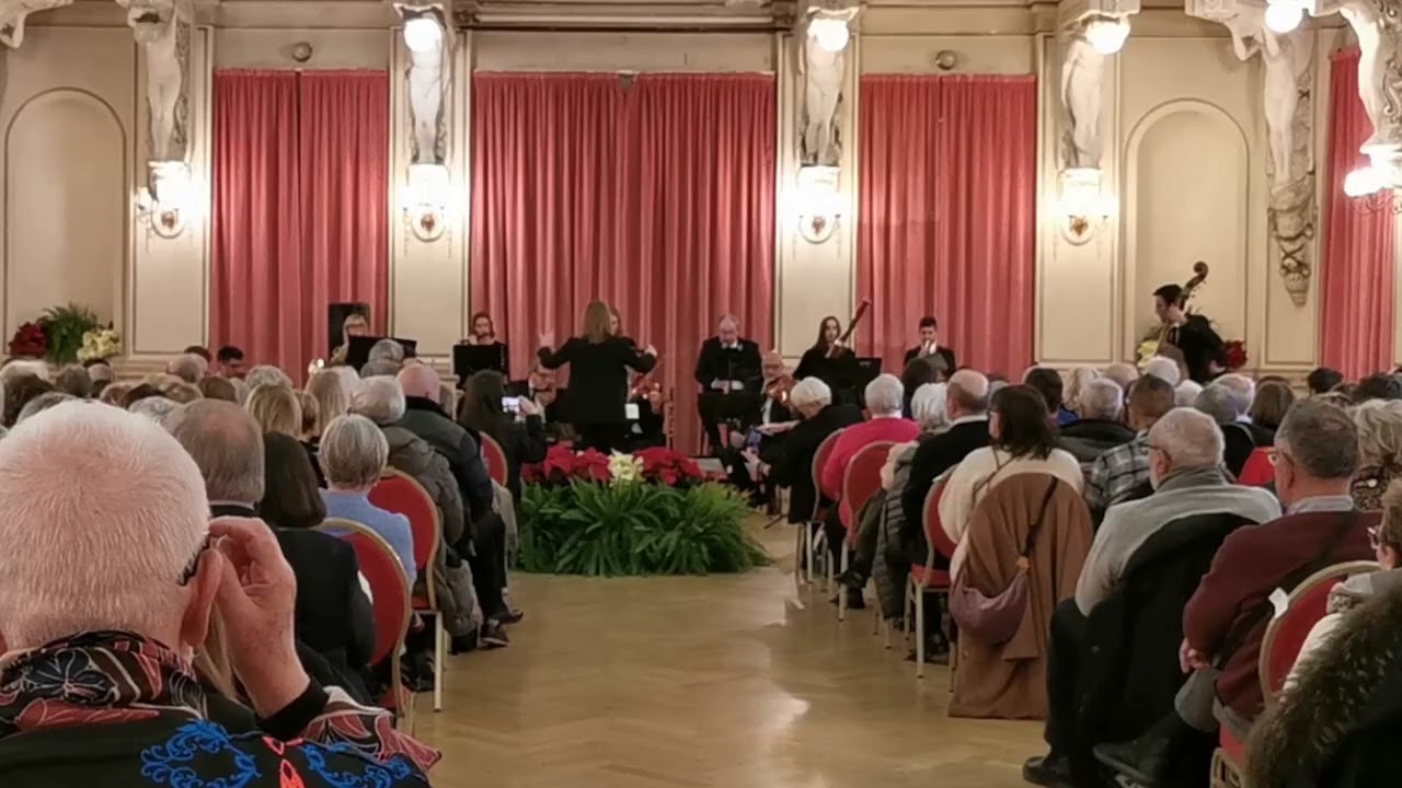 J.Strauss   Annen Polka