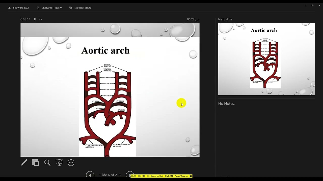 imaging of cerebral circulation part 1