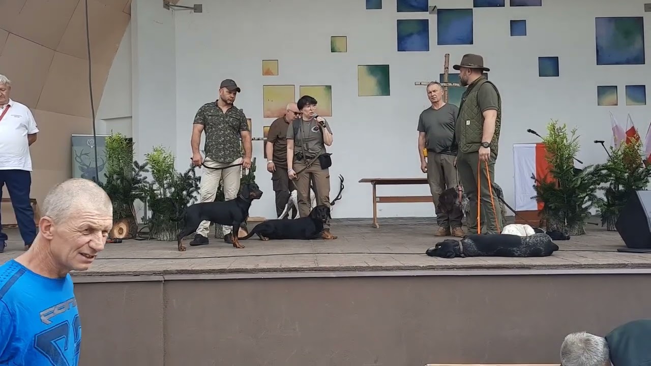 Odc.63. Hubertus w Morągu#psy myśliwskie#