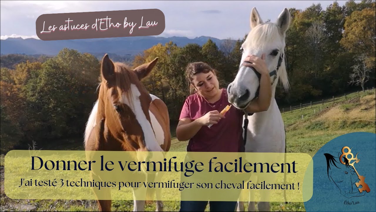 3 Solutions pour vermifuger son cheval facilement !