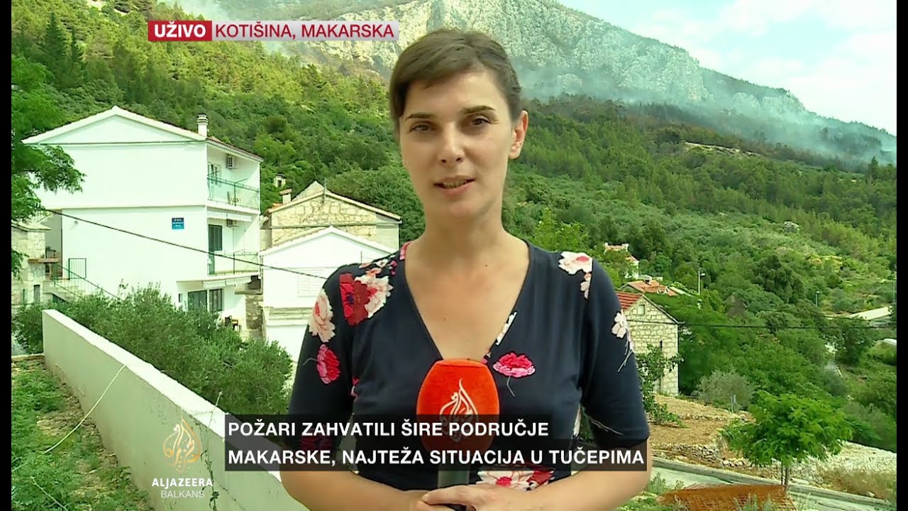 Zavišić o gašenju požara kod Makarske