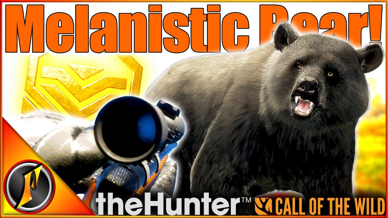 It Paid Off! MELANISTIC GOLD Brown Bear on Revontuli! | Call of the Wild