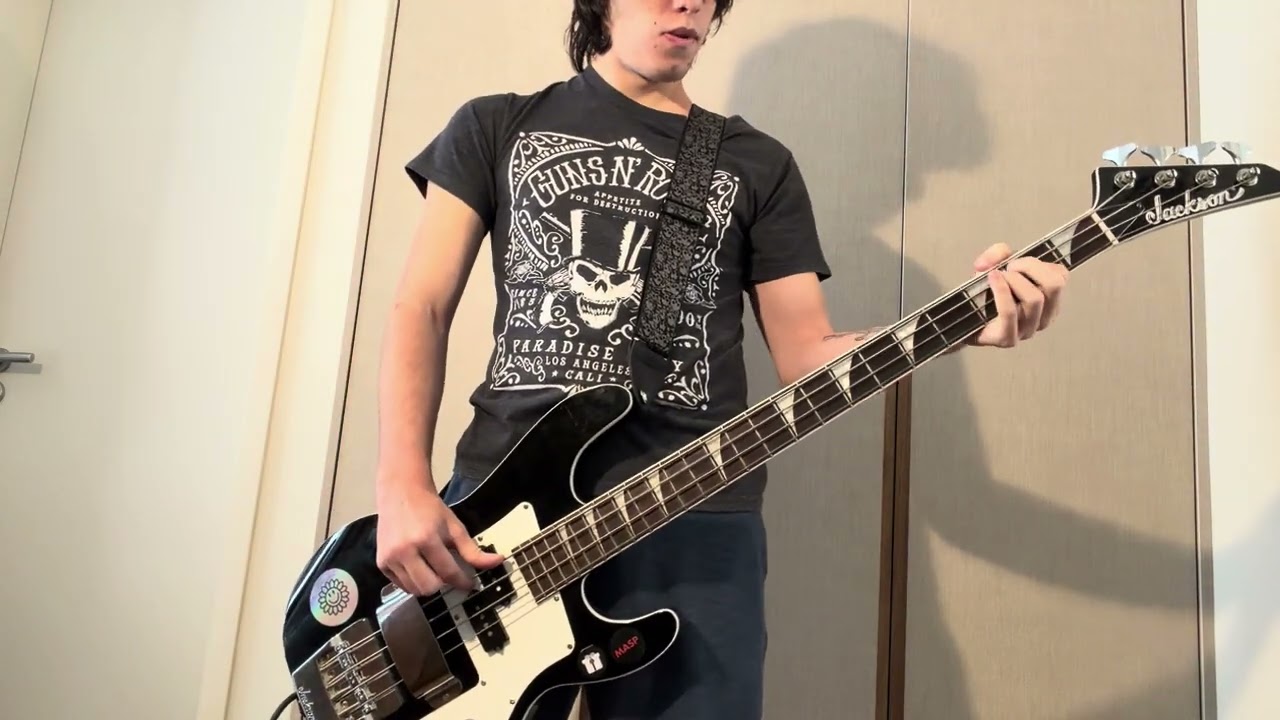 The Offspring-Come apt and Play bass cover 
