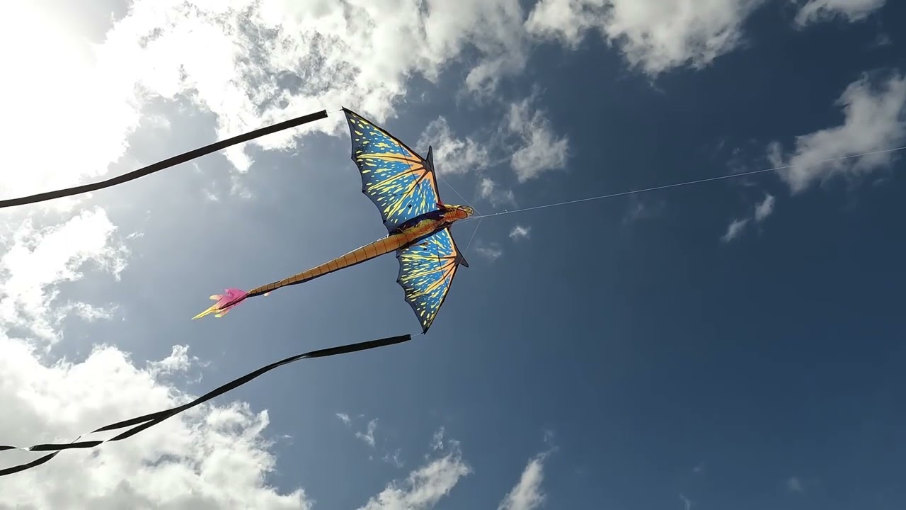 Dragon kite