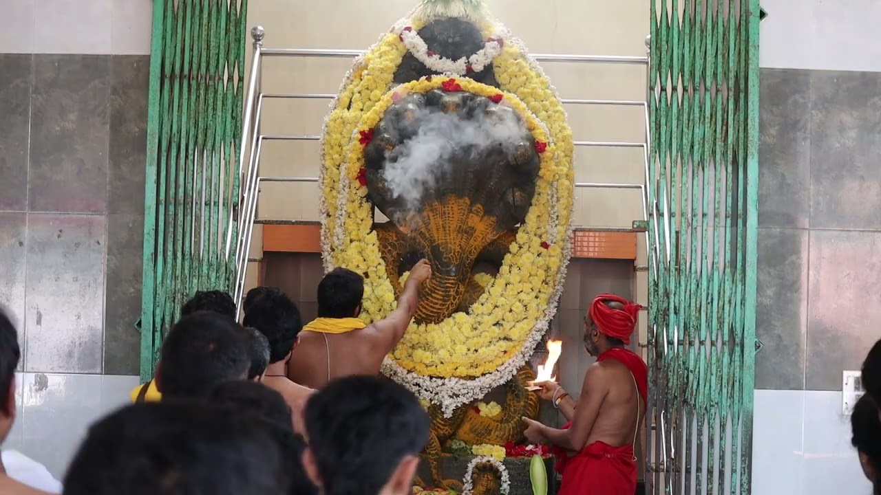 ಶ್ರೀ ಮಂಗಳಾರತಿ  date 24-02-2026🏵️🏵️🌼🌼🌸 ವಡನಬೈಲು ಮುಕ್ತಿ ನಾಗ ಸ್ವಾಮಿ  ಮಹಾ🌸🌻🌻🙏🙏💐💐
