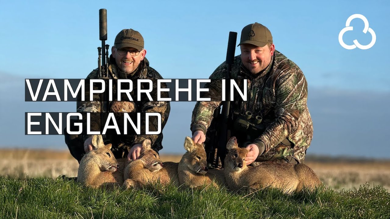 Vampirrehe in England - Unsere Ausrüstung für die Jagd auf Chinesisches Wasserreh