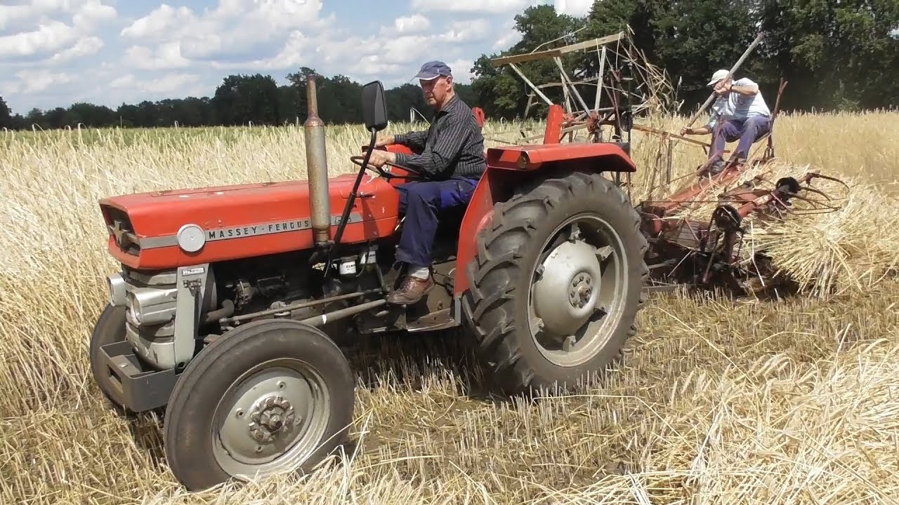 Classic harvesting at De Wendezoele