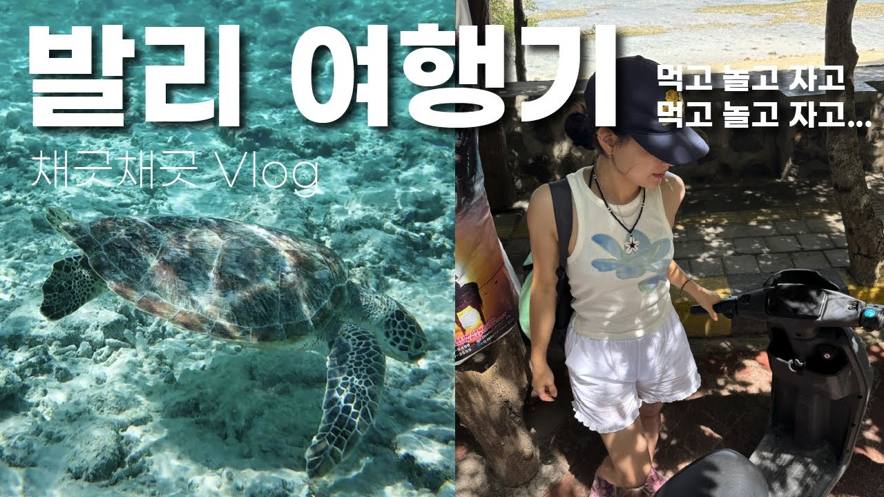 vlog  4박 6일 발리 뿌시기, 길리섬 최고