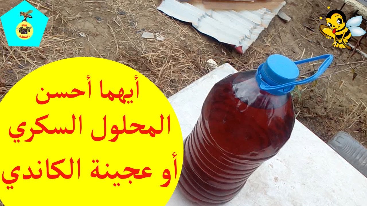 أيهما أحسن المحلول السكري أم عجينة الكاندي لتقوية وتجيش الخلايا !!!!!!!!!