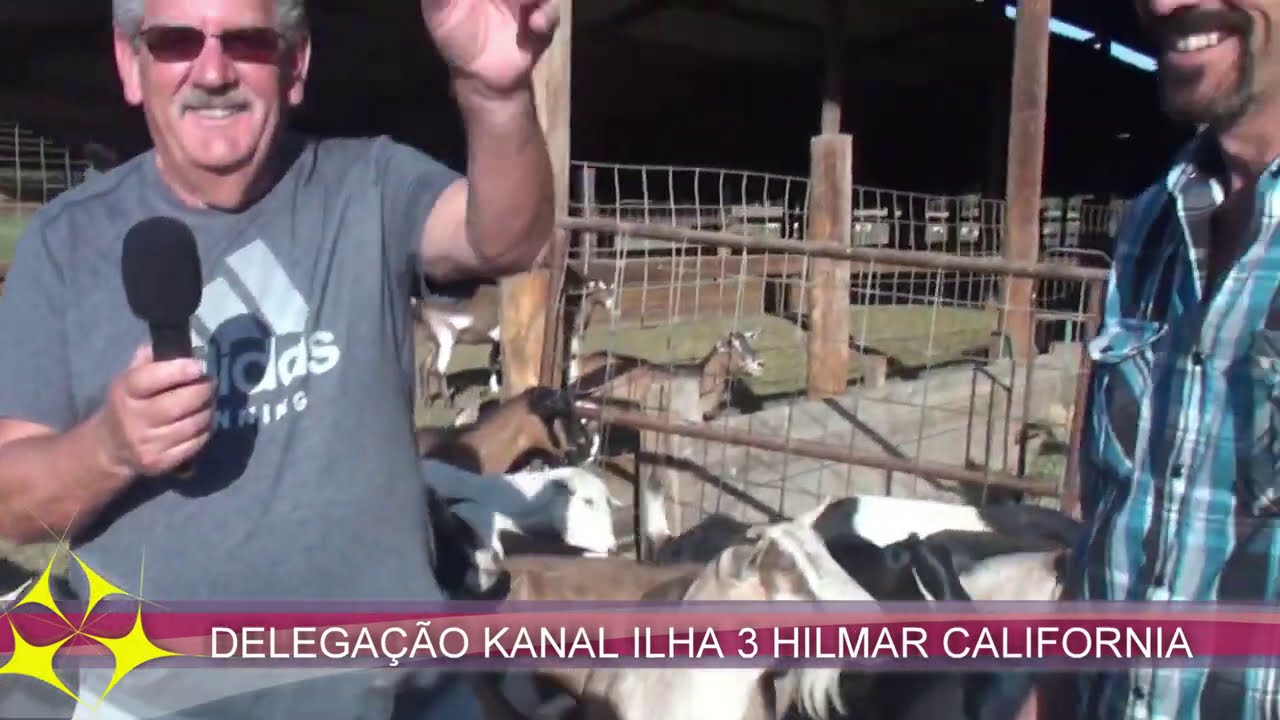 IMIGRANTES CALIFORNIA LUIS MATIAS NATURAL TOPO ILHA SÃO JORGE