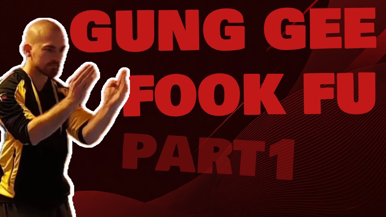 The First Moves in HUNG GAR Kung Fu! (Part 1)
