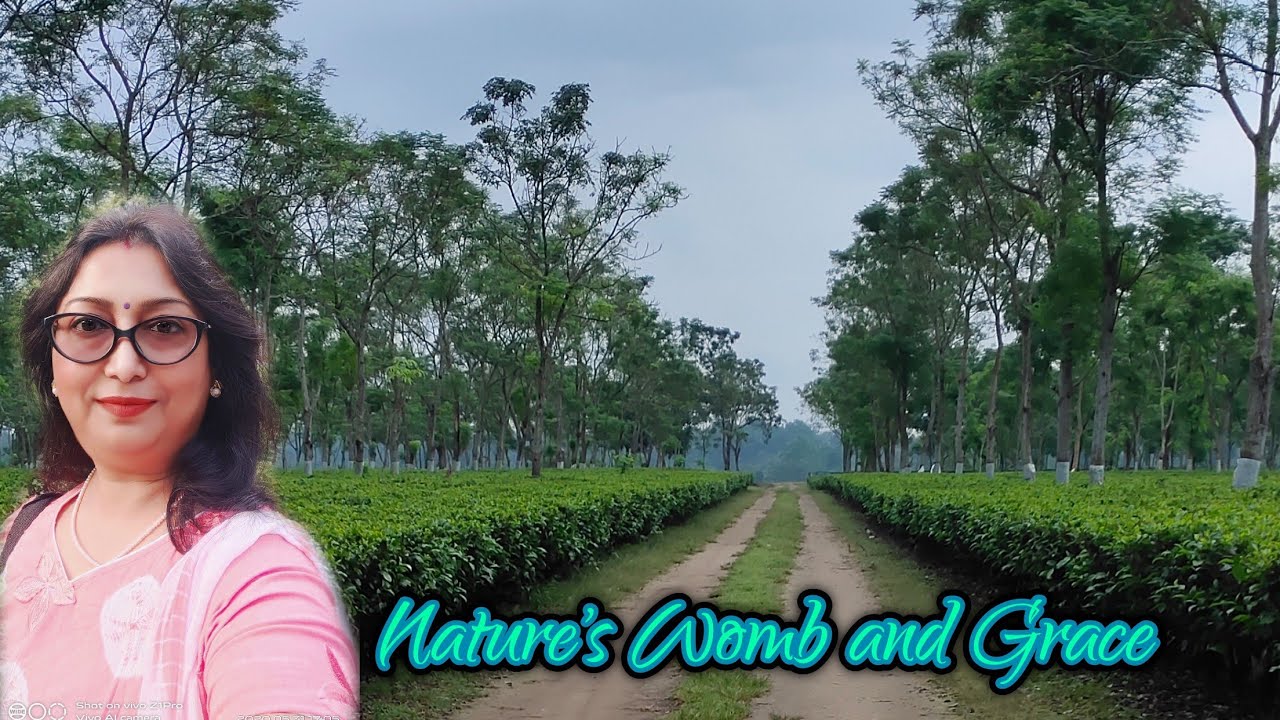 Nature's Womb and Grace  is going live!