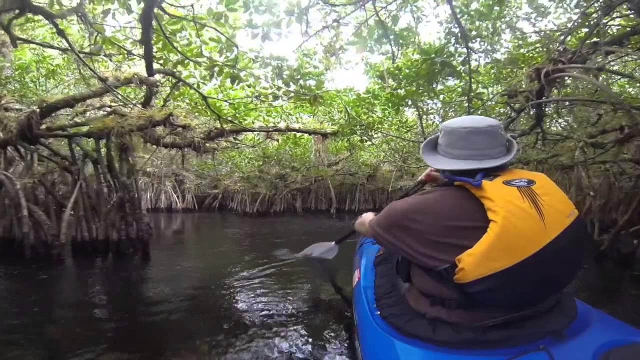 Paddling the Turner River - Big Cypress Swamp
