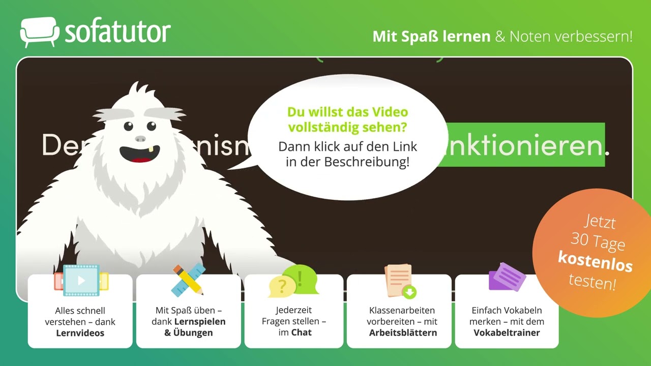 Die Zeitformen des Verbs – Überblick einfach erklärt – Deutsch 5. & 6. Klasse