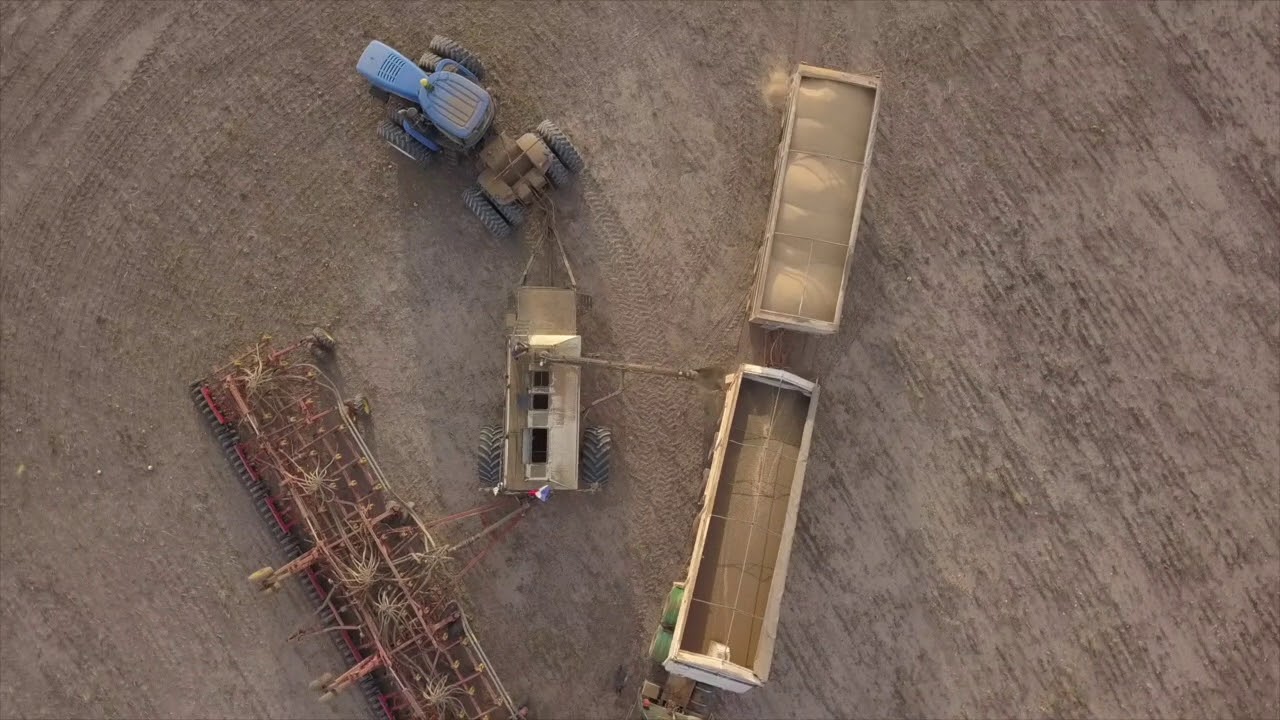 Seeding In Western Australia