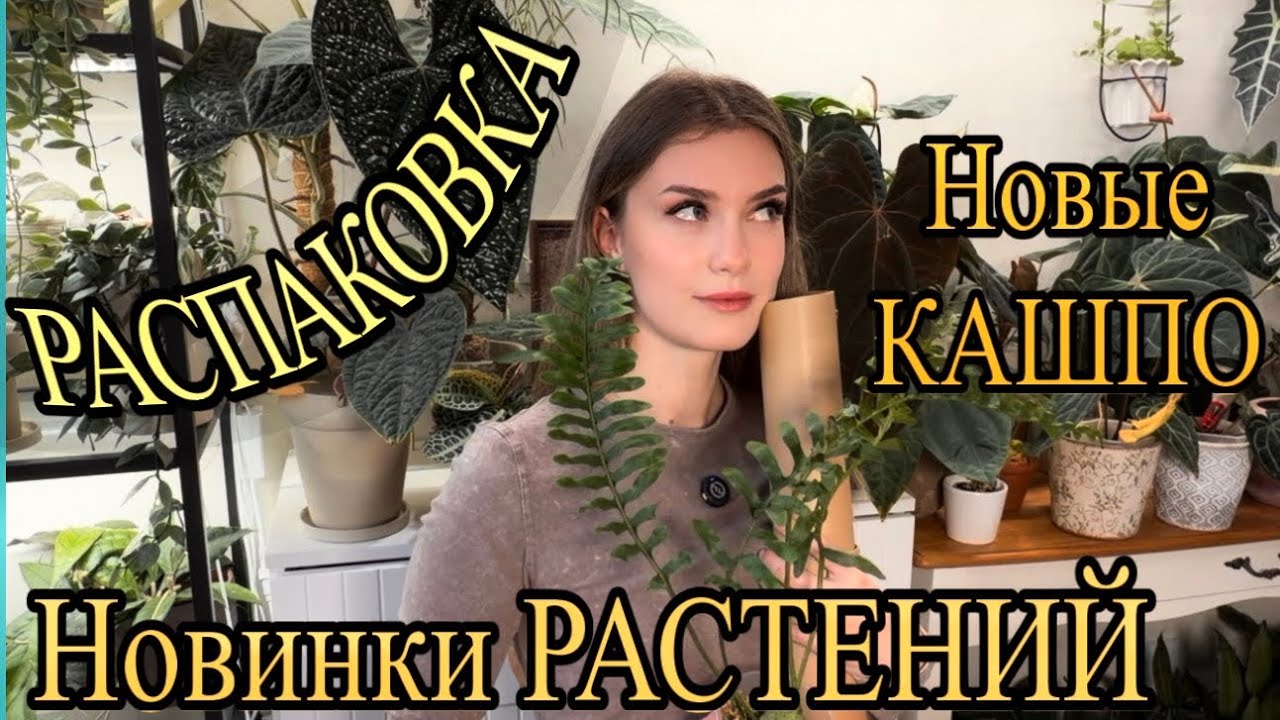 РАСПАКОВКА ПОКУПОК/ НОВИНКИ РАСТЕНИЙ ,КАШПО И ДРУГОЕ 