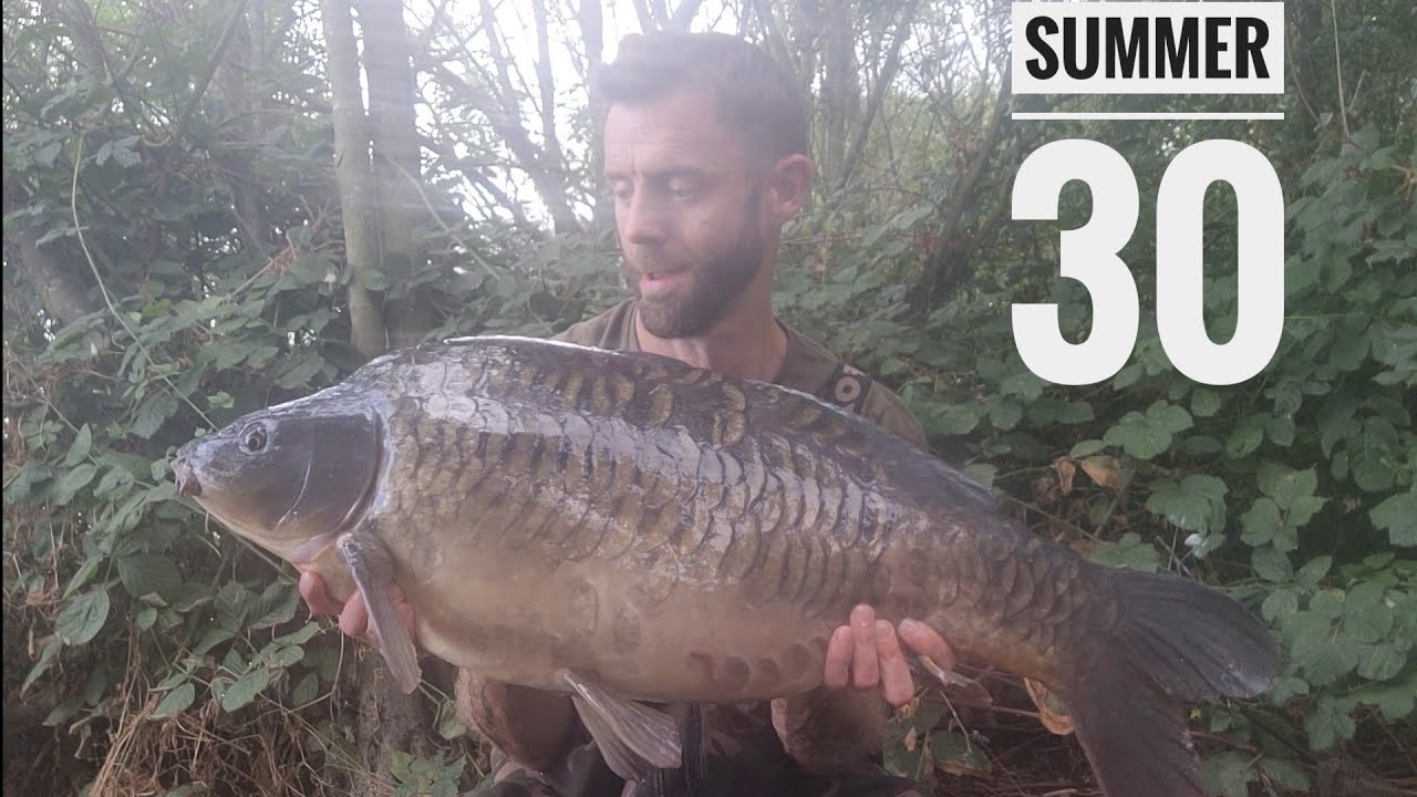 WOW!!! what a session summer carp fishing @ trentview