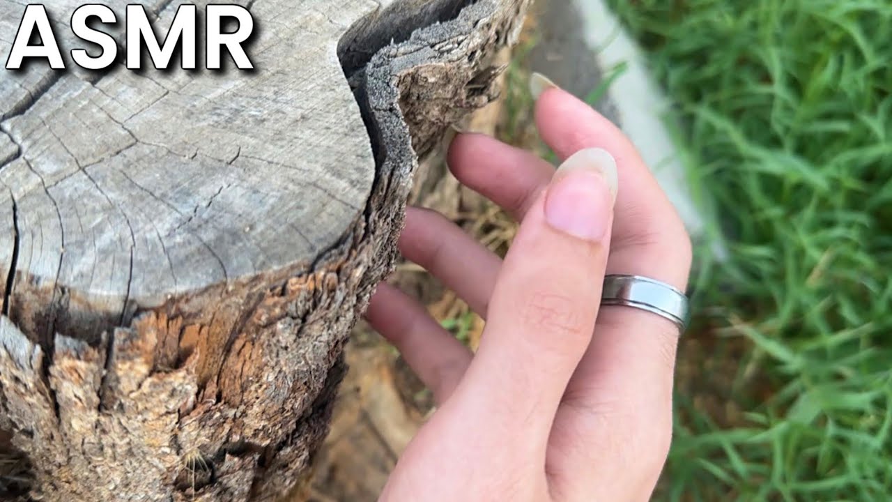 *ASMR* Tapping & Scratching Outdoors 🌳 - lofi