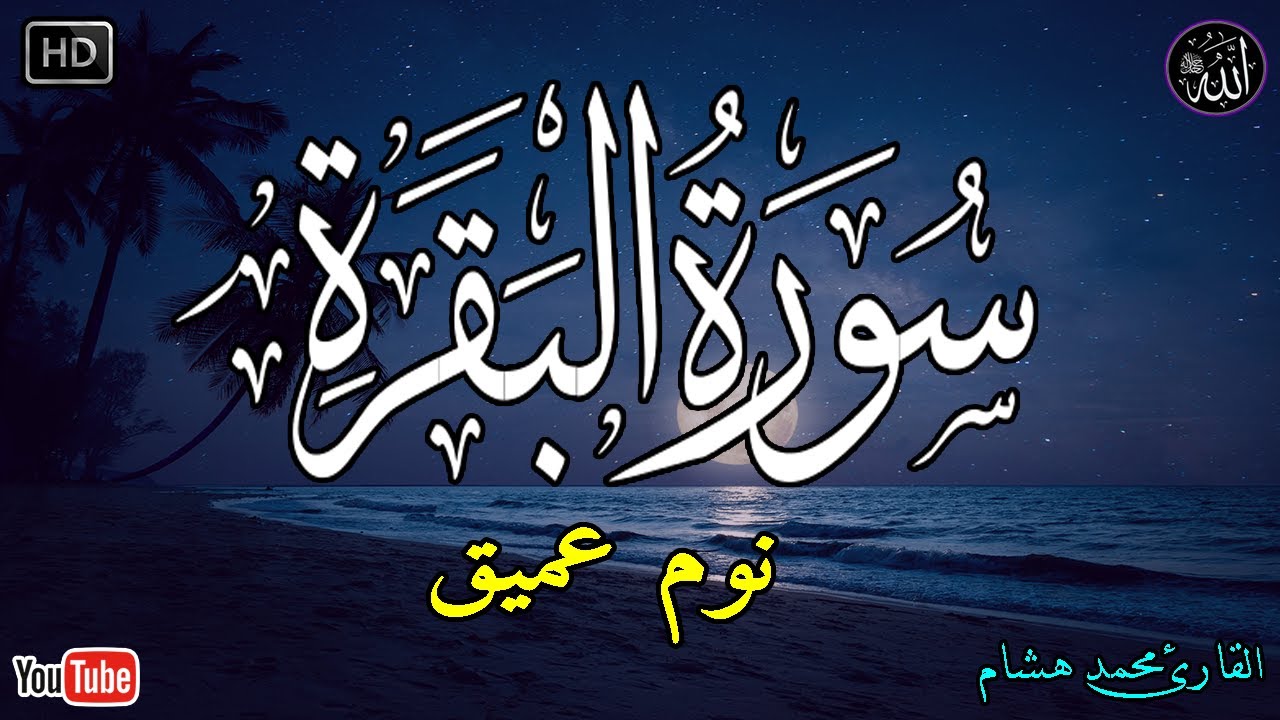 سورة البقرة طاردة الشياطين💚 بصوت هادئ ومريح جدا جدا 💚💤تلاوة هادئة للنوم والراحة النفسية 😴