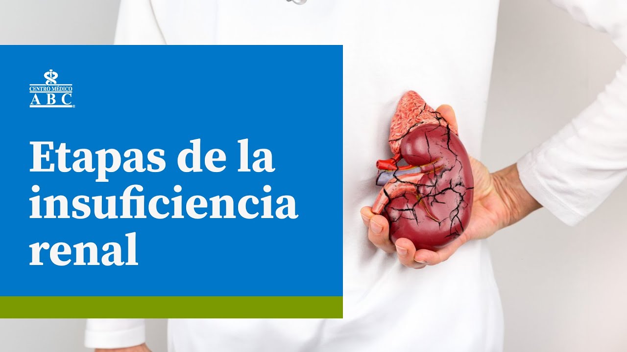 Etapas de la insuficiencia renal