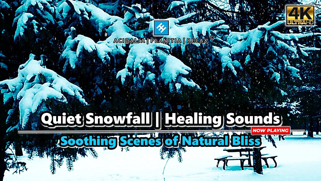 ❄️Unwind & De-stress | Winter Visuals & Beautiful Soundscapes for Relaxation & Sleep | 3 Hours | 4K