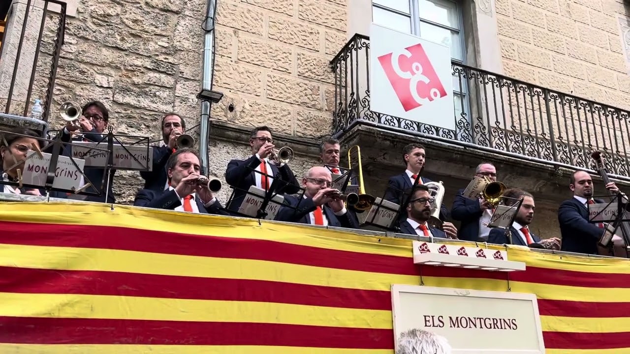 Sardana 