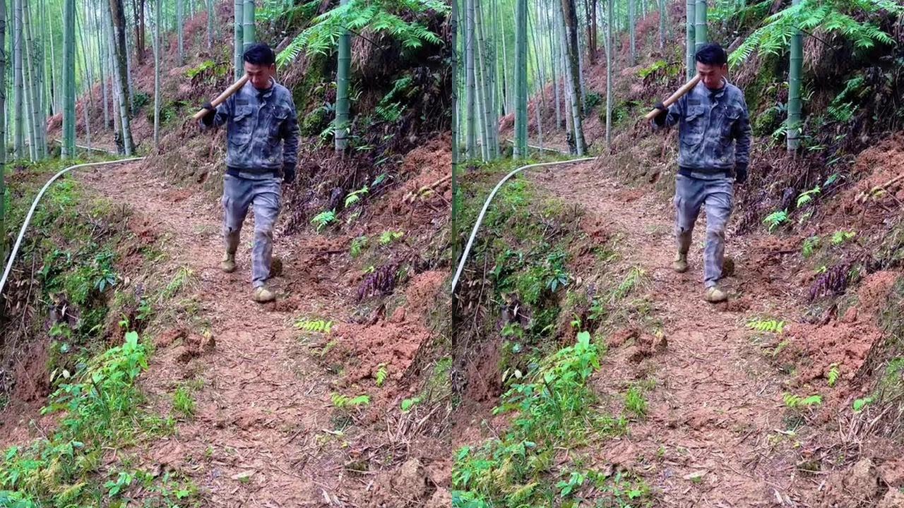 竹林路上发现大裂谷！感觉里面有几只大笋，趁它没长大前把它做成美食。下锄头那一刻，事情没那么简单……#我的乡村生活 #白肉笋 #黄泥拱 #挖笋的乐趣只有体验过才懂
