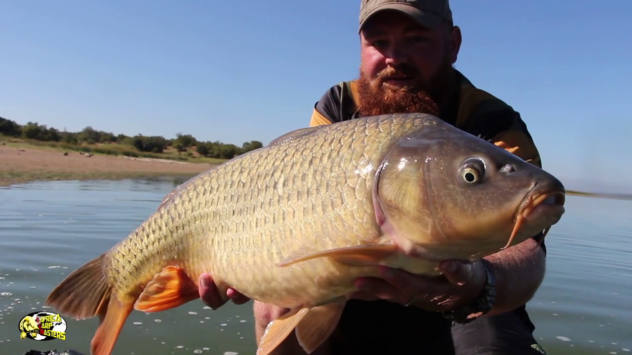 SA Carp Masters 2018
