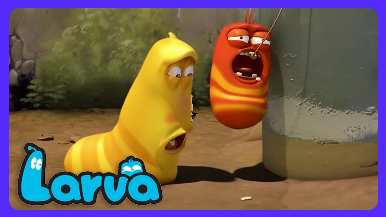 Larva - ¡Dolor de muela! | Dibujos Infantiles | WildBrain Niños