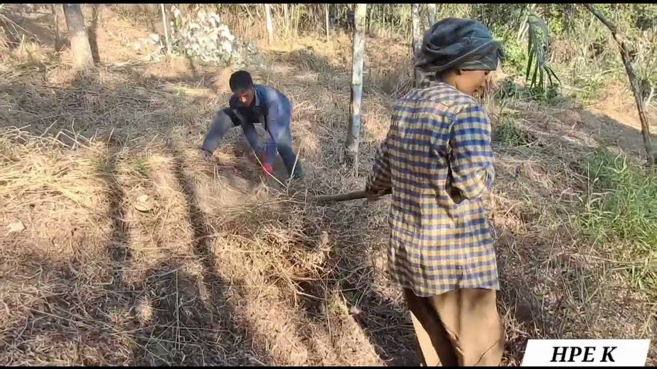 Watch how the Village Youth are struggling to earn money🤕🤕##Hongpe local vlog#