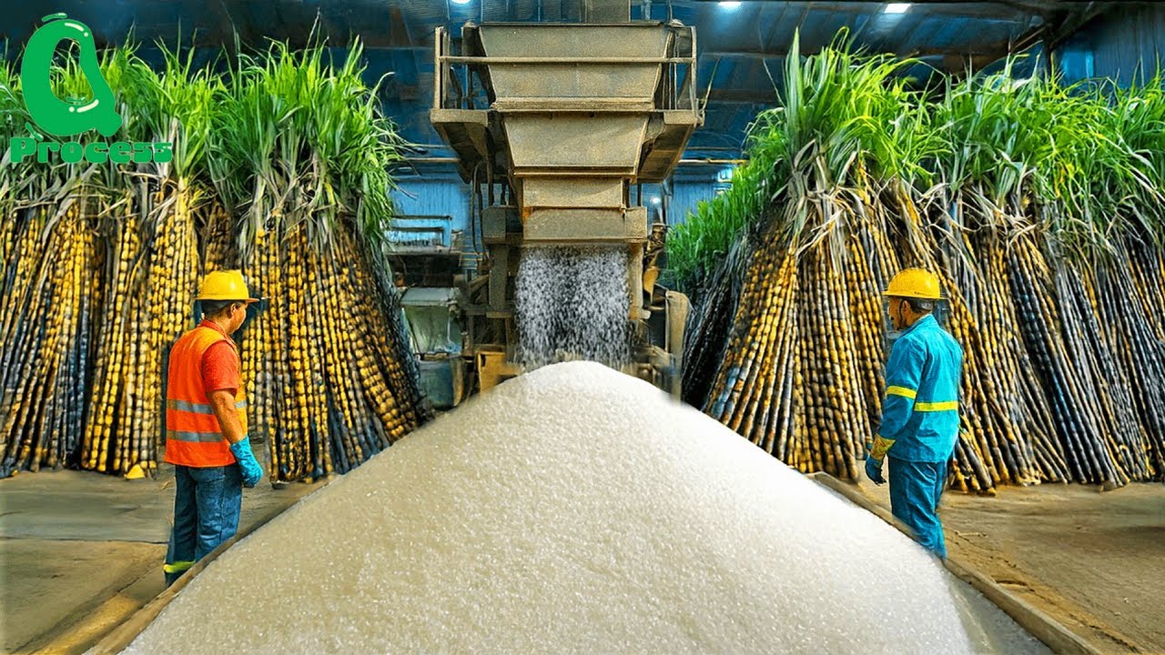 How Sugar Is Made &ndash; Unbelievable Billion Tons of Sugar Processing In Factory