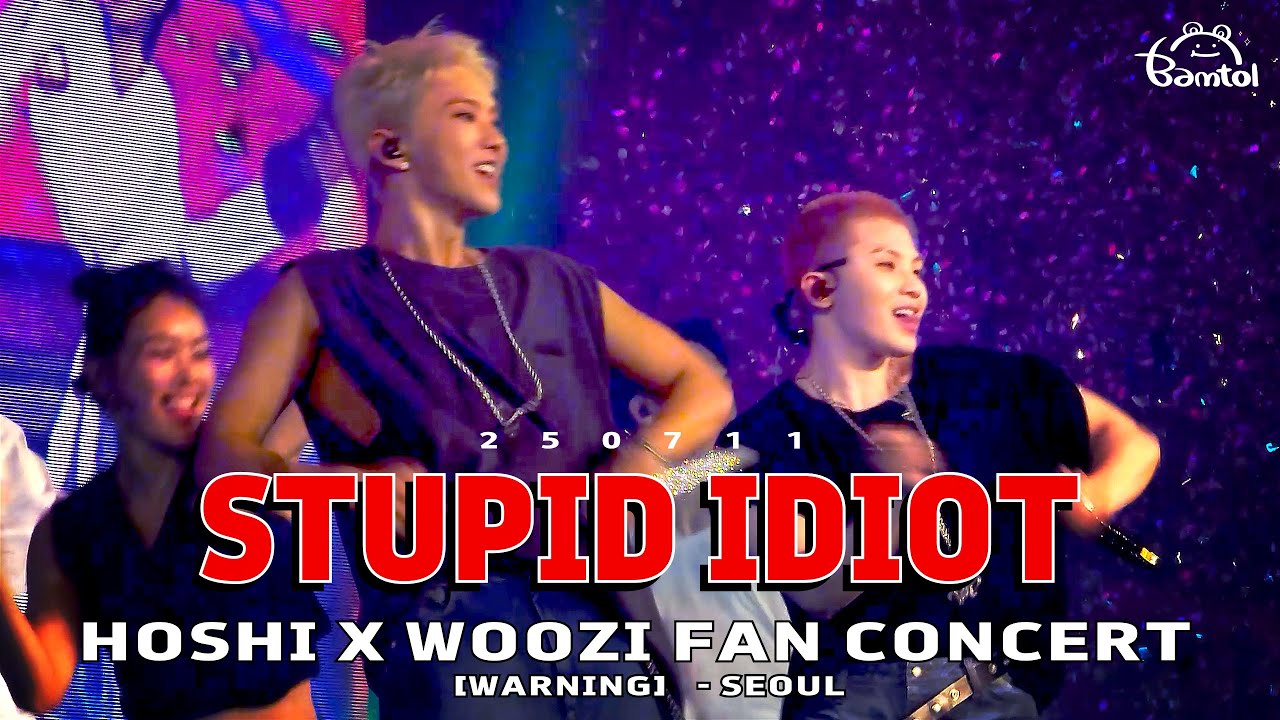 250711 STUPID IDIOT : 호시 우지 팬콘서트 (첫콘) HOSHI X WOOZI FAN CONCERT- SEOUL 직캠 (+가사 Lyrics)