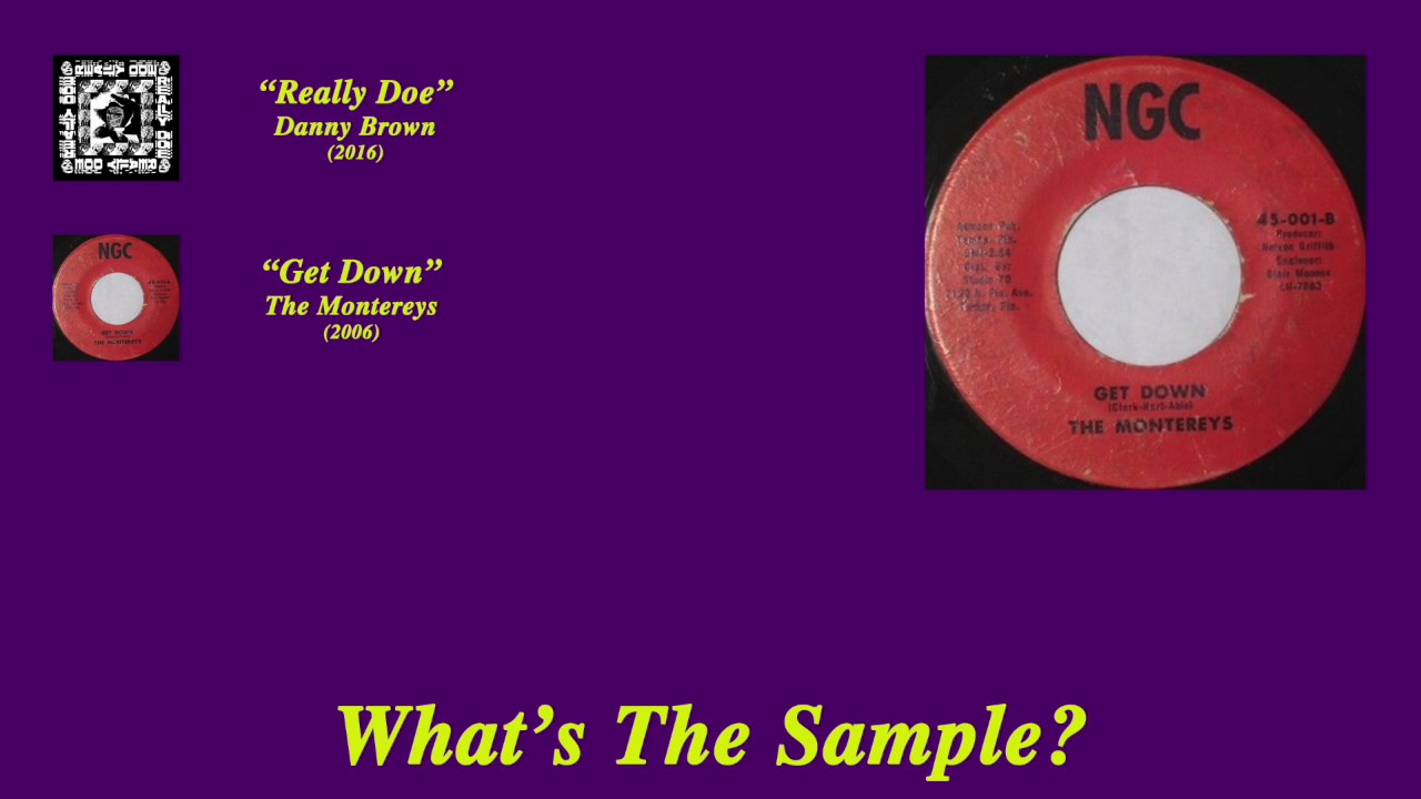 What's The Sample - Danny Brown 