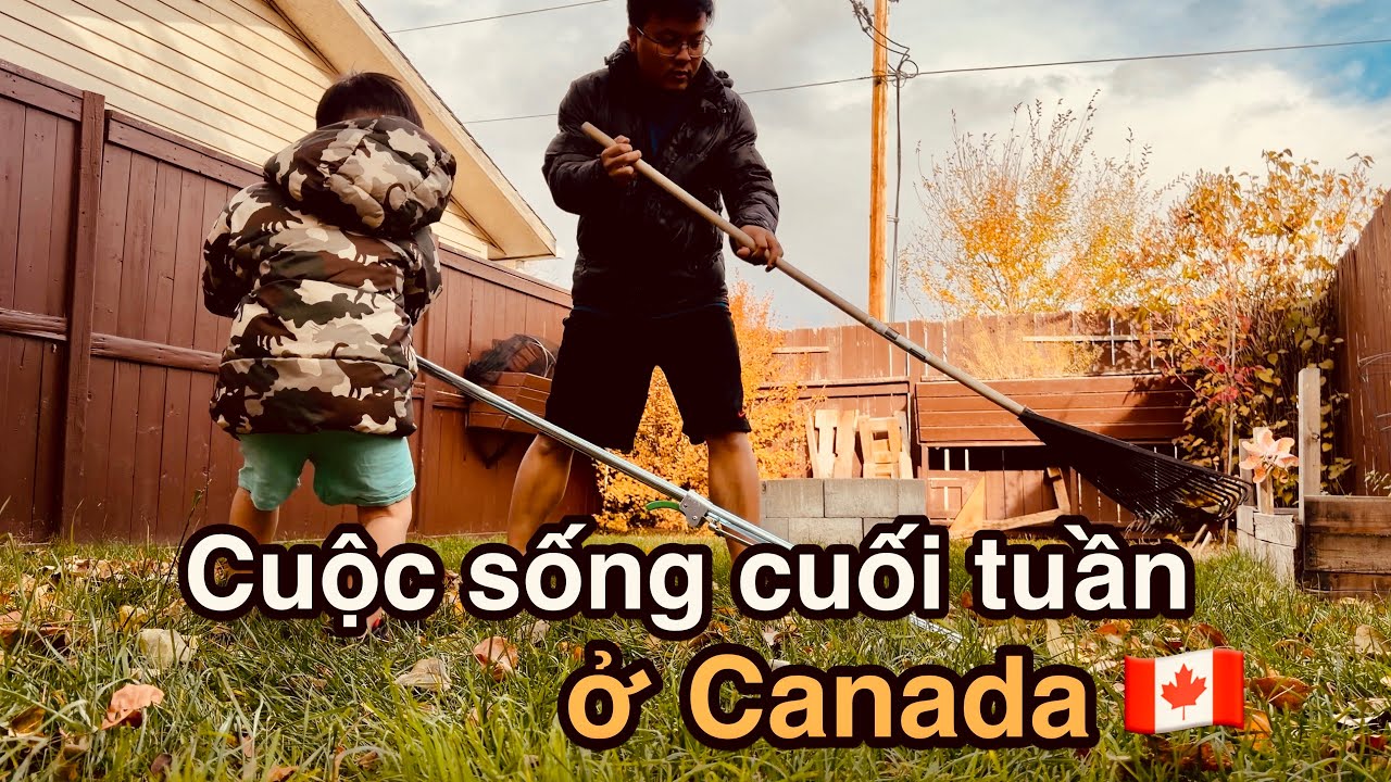 Cuộc sống cuối tuần ở Canada | Vlog 345 | Cuộc sống Canada