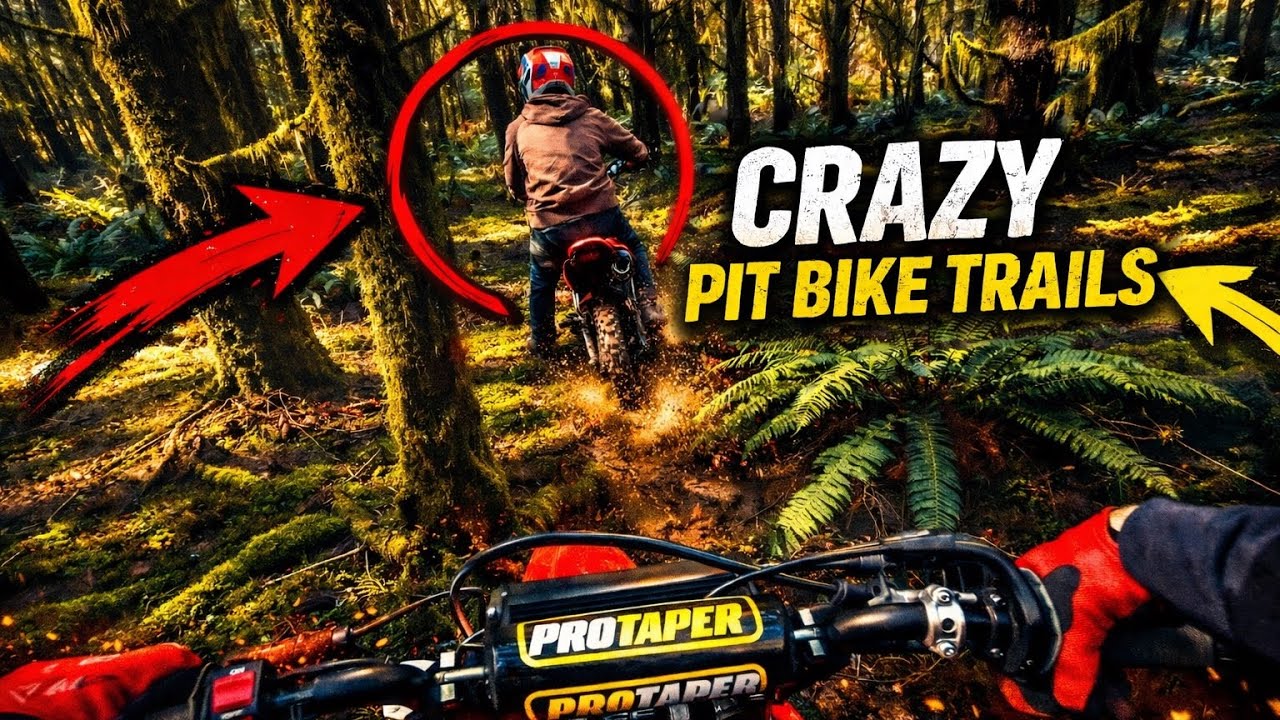 CRF 110 trail ride got wild……￼