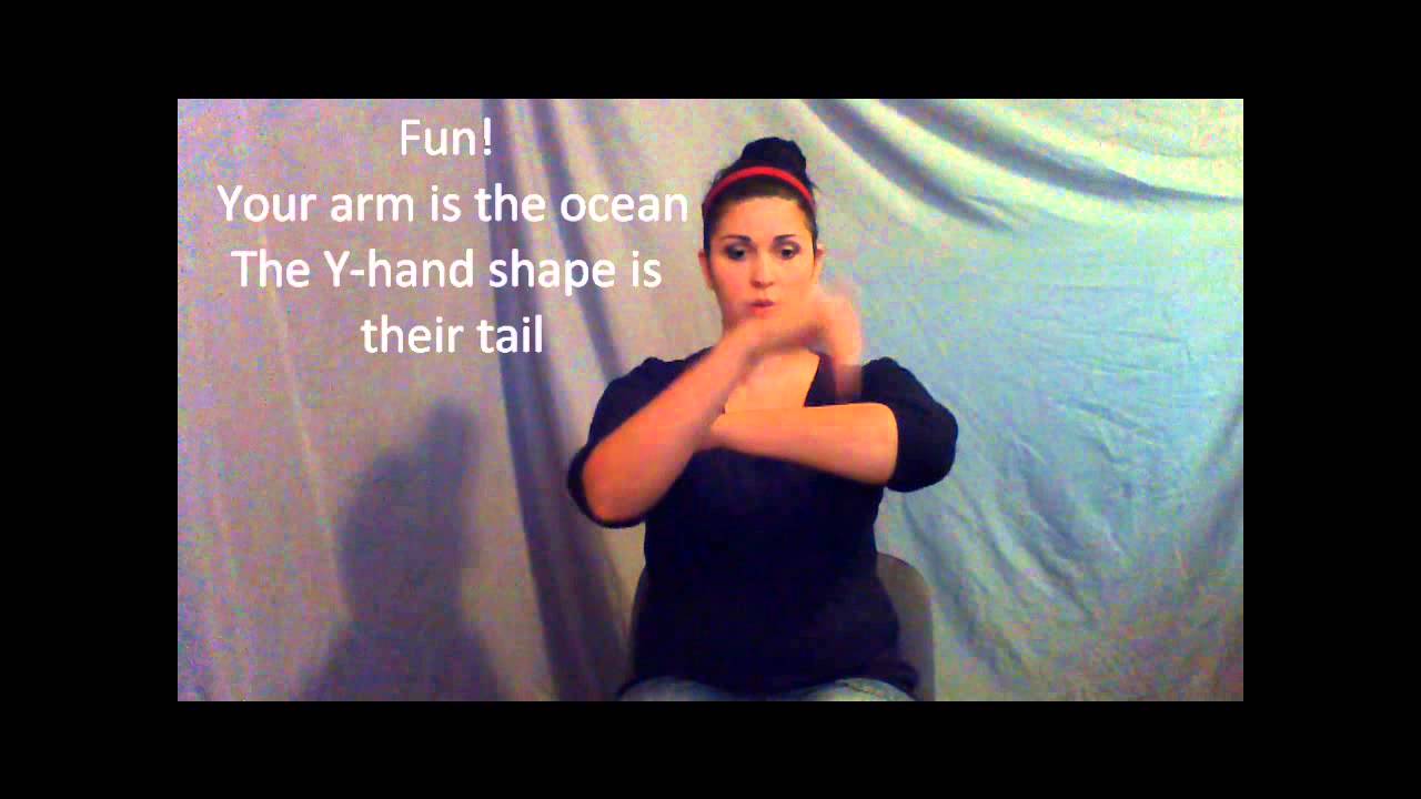 Learn ASL in 31 Days: Day 17:: Animals