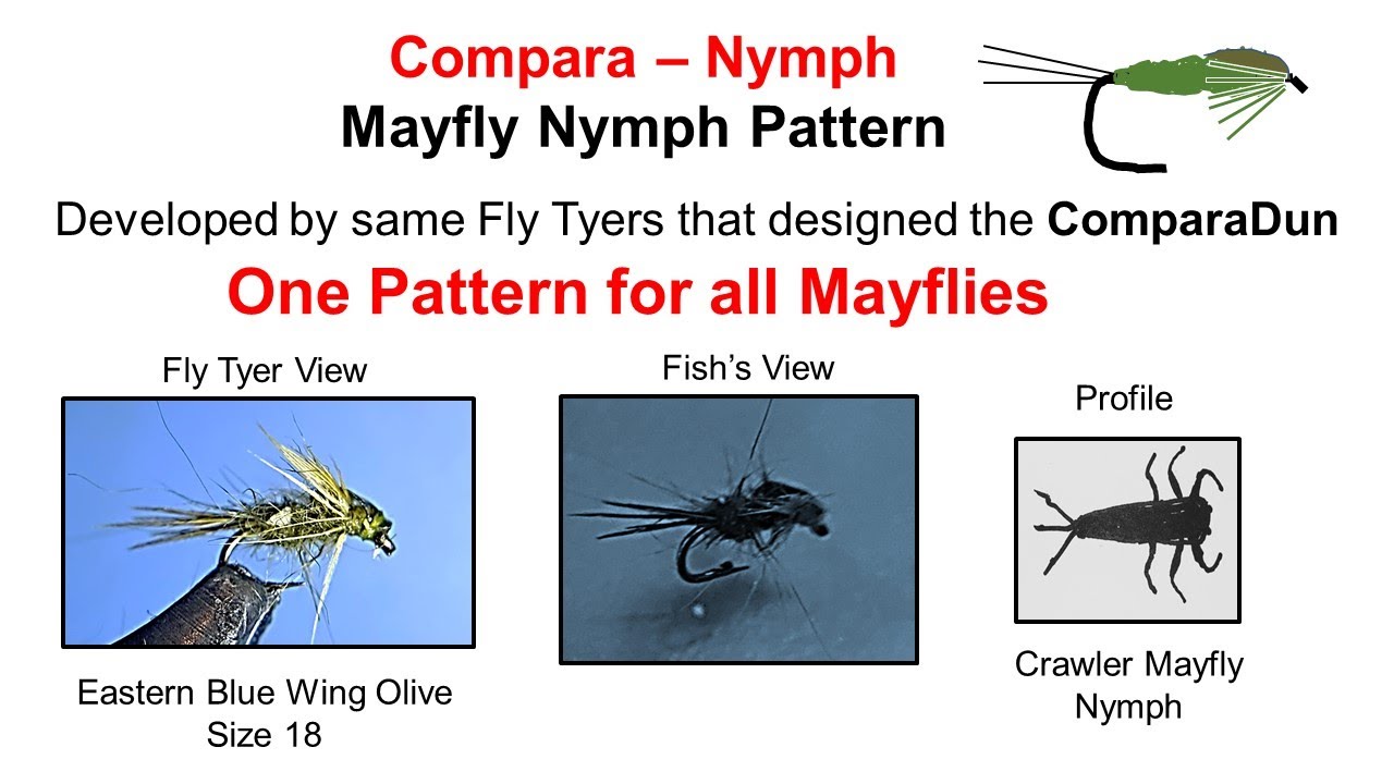Tying the Compara-Nymph Fly Pattern.  The 1 Pattern you need to imitate any Mayfly.