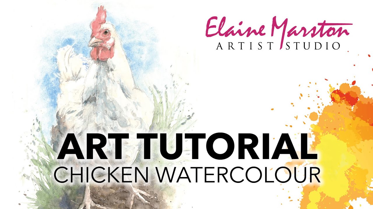 Step by Step Art Tutorial of a Chicken Watercolour