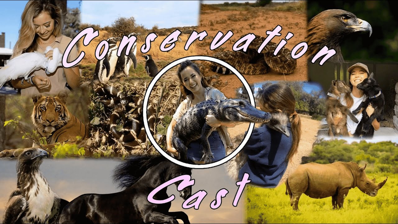 CONSERVATION CAST Ep. 8: American Eagle Foundation