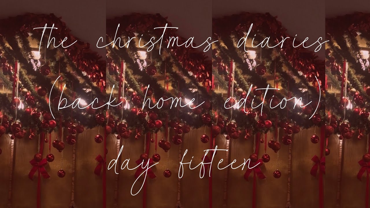 the christmas diaries: day fifteen-back home vlog