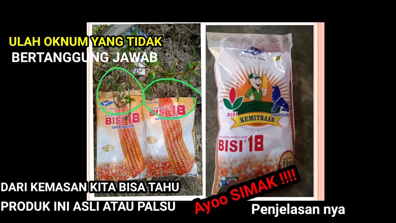 Cara Melihat Dan Membedakan Produk Benih Varietas Bisi | Terlihat Jelas Kemasan Asli Dan Palsu |