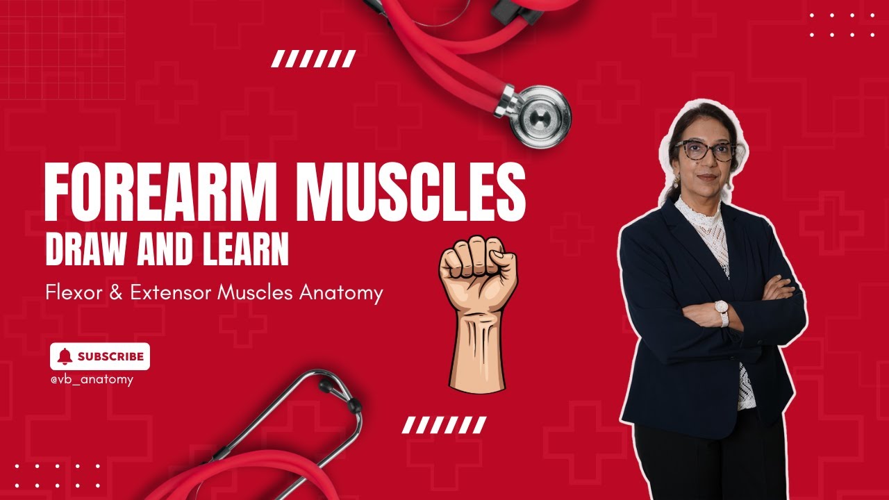 Forearm Muscles Made Easy | Draw & Label Method | Flexor & Extensor Muscles Anatomy