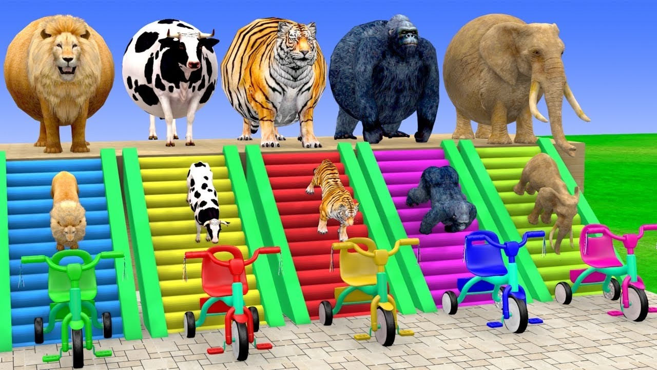 Long Slide Game With Cow Elephant Gorilla Hippopotamus Tiger 3d Animal Game Funny 3d AnimalsVideo