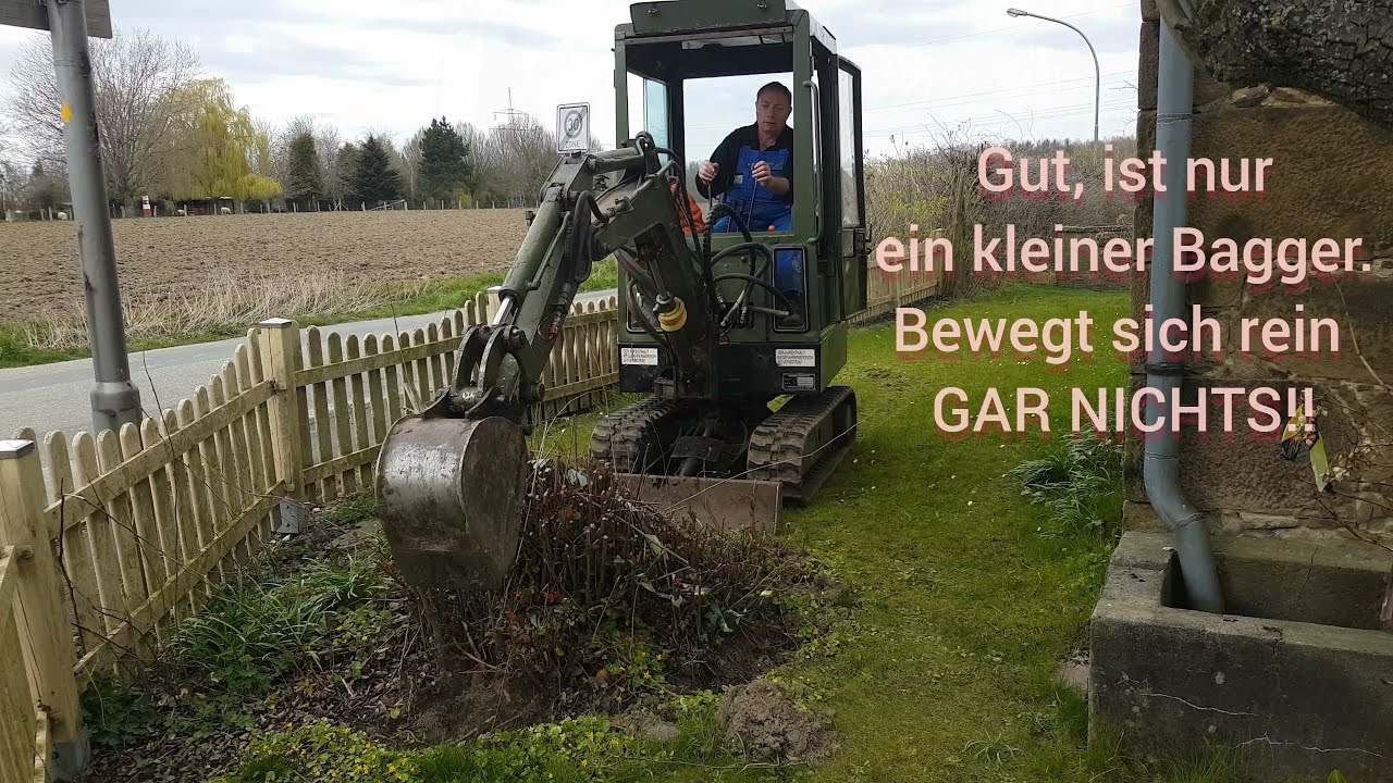 Wurzel mit Minibagger ausbuddeln. Eduard Anhänger Ulli